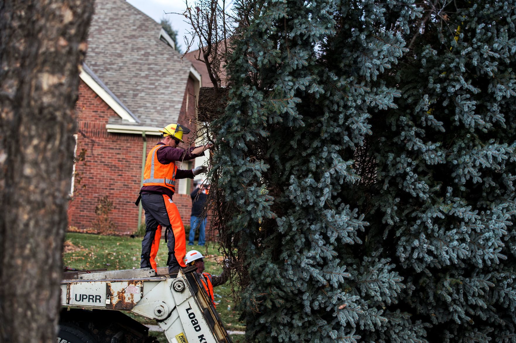 The Durham Museum's 2019 Christmas tree